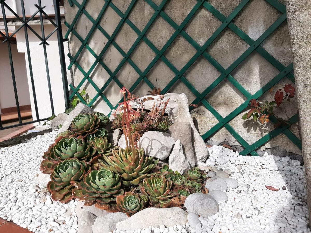 Villa Persico Massa Lubrense Ngoại thất bức ảnh